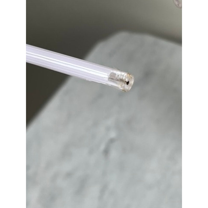 A close-up of a clear plastic straw with a small black speck inside its tip, set against a blurry light gray background—echoing the delicate detail of Vintage Bouquet Murano Art Glass Long Stem Flowers and Butterflies.