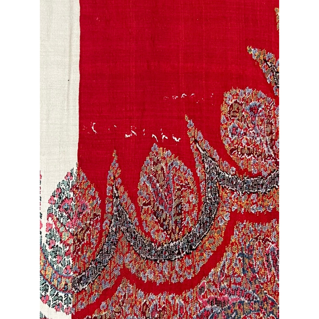 Rare Antique Kashmiri Kani Moon Shawl with Medallion & Woven Inscription | India c. 1850–1880