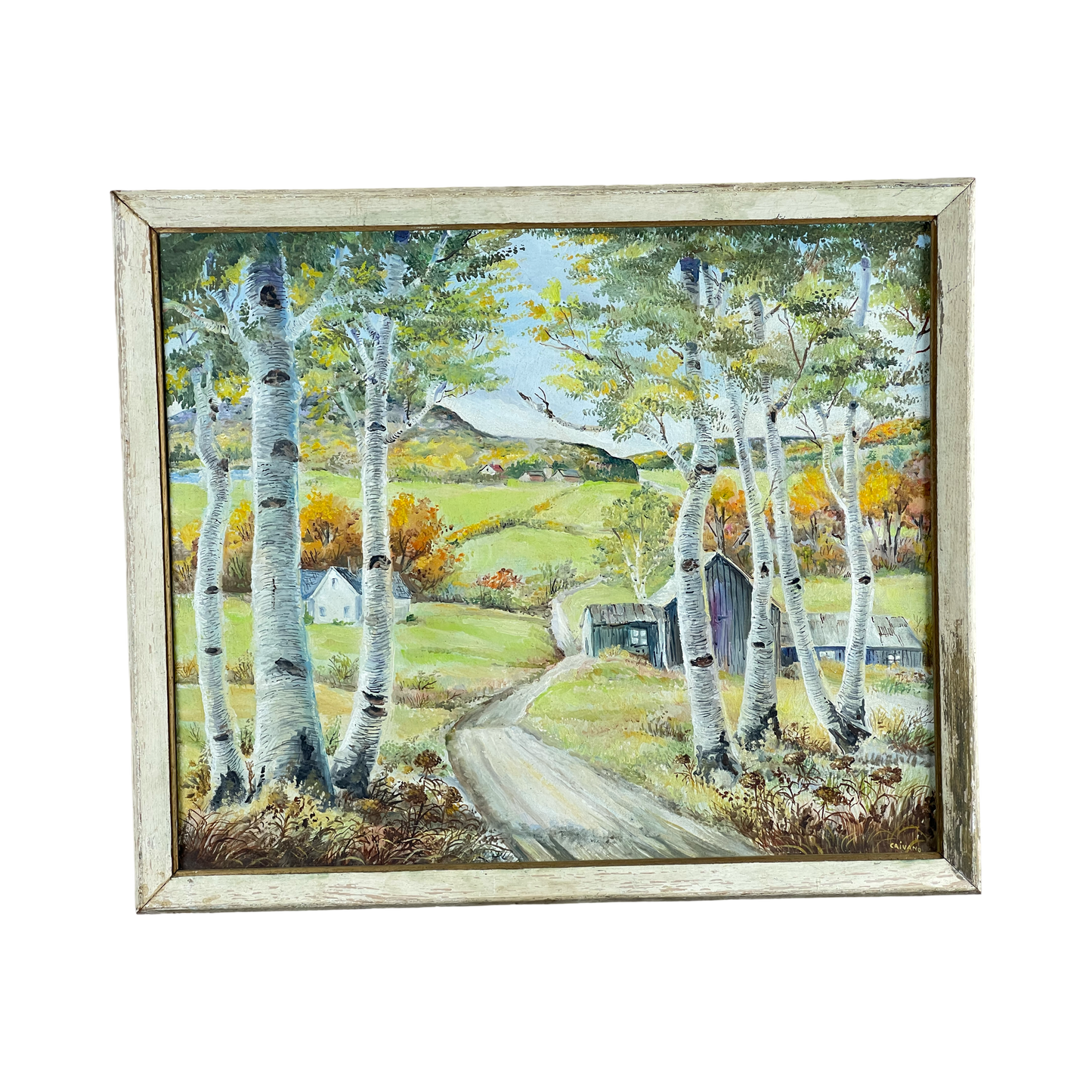 Oil on Board Painting “Summer Birches” by Rocco Caivano