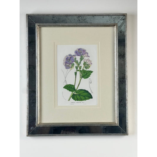 Bring classic sophistication to your space with the Vintage Trowbridge Custom Framed Botanical Print “Cosmanthus grandiflorus” after Louis van Houtte (1810–1876) from Pearl City Antiques. Featuring a detailed illustration of a flowering plant with purple blossoms and green leaves, this vintage botanical print is presented in an elegant Hollywood Regency-style frame and displayed beautifully against a white wall—evoking the timeless artistry for which Louis van Houtte is renowned.