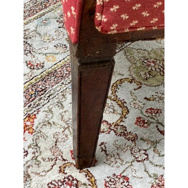 repaired leg