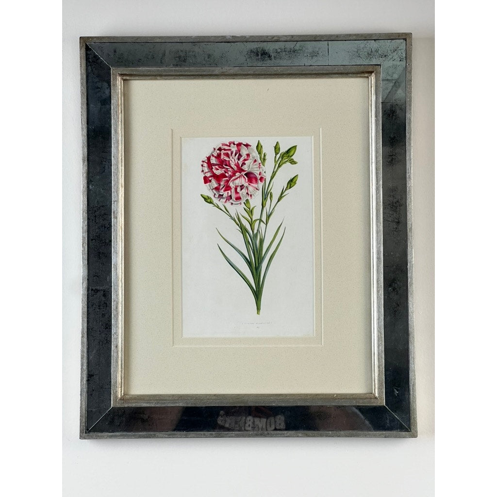 The Trowbridge Vintage Custom Framed Botanical Print “Dianthus caryophyllus” after Louis Stroobant (Belgium, 1845-1888) features a pink and white carnation with green leaves, elegantly set in a metallic silver Hollywood Regency frame.