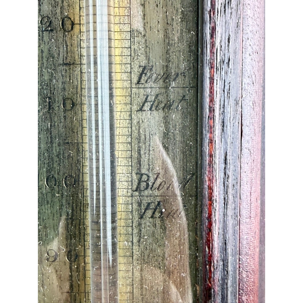 Close-up of a glass tube and numeric scale on an English Regency Mahogany Stick Barometer by Thomas Jones, Liverpool, c. 1820, featuring labels for Fever Heat and Blood Heat.