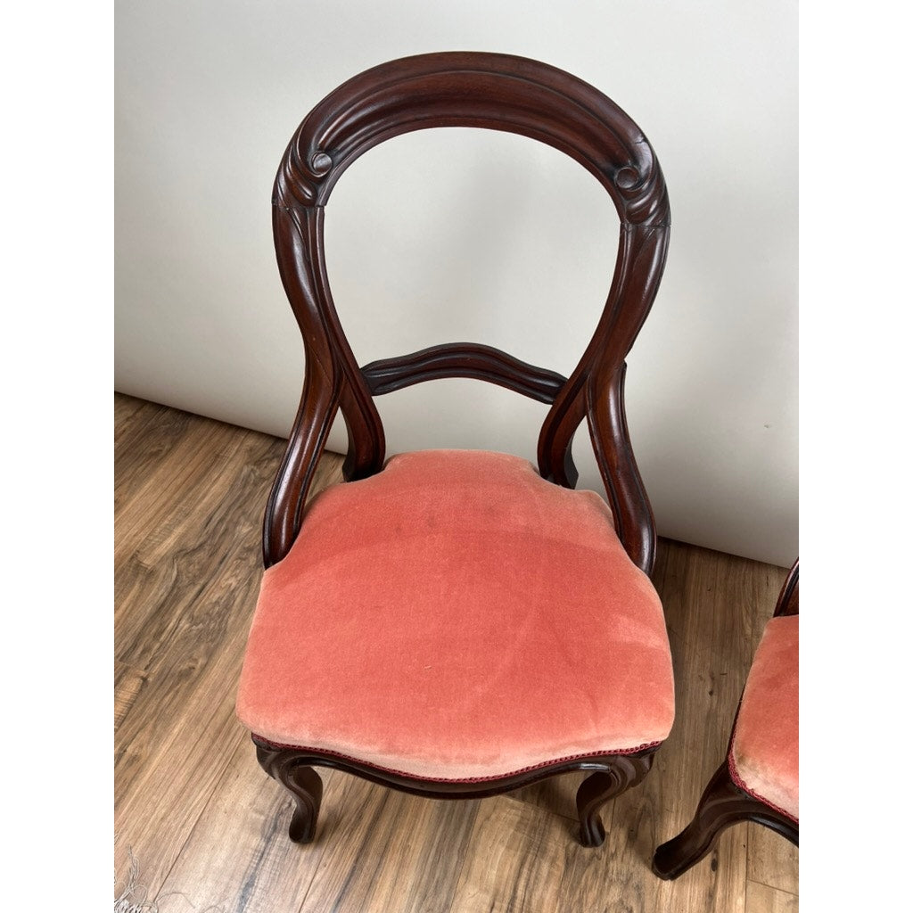 Antique Pair Victorian Walnut Balloon Back Side Chairs with carved details and padded vintage rose velvet seats, shown on a wooden floor against a plain, light-colored background. Brand: None/Unknown.
