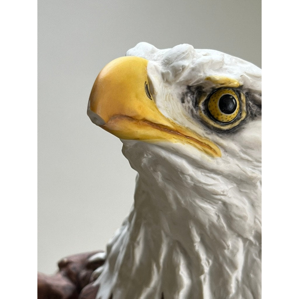 Close-up of the Rare Kaiser Porcelain American Bald Eagle Sculpture, Limited Edition No. 12/200 by Kaiser W. Germany, highlighting the eagle’s detailed yellow beak, intense eye, and white feathers against a neutral background.