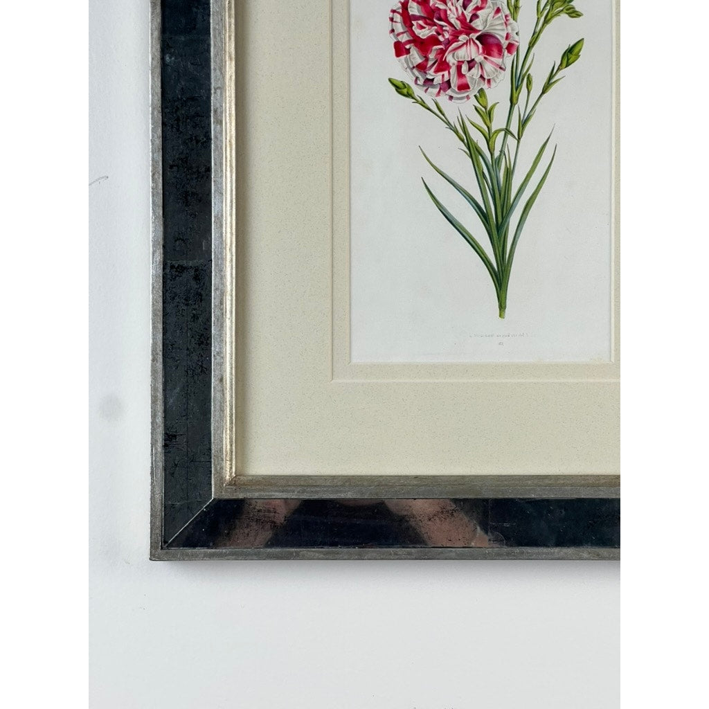 Close-up of a Trowbridge Vintage Custom Framed Botanical Print, “Dianthus caryophyllus” after Louis Stroobant (Belgium, 1845-1888), featuring a red and white carnation in a metallic Hollywood Regency frame with white mat.