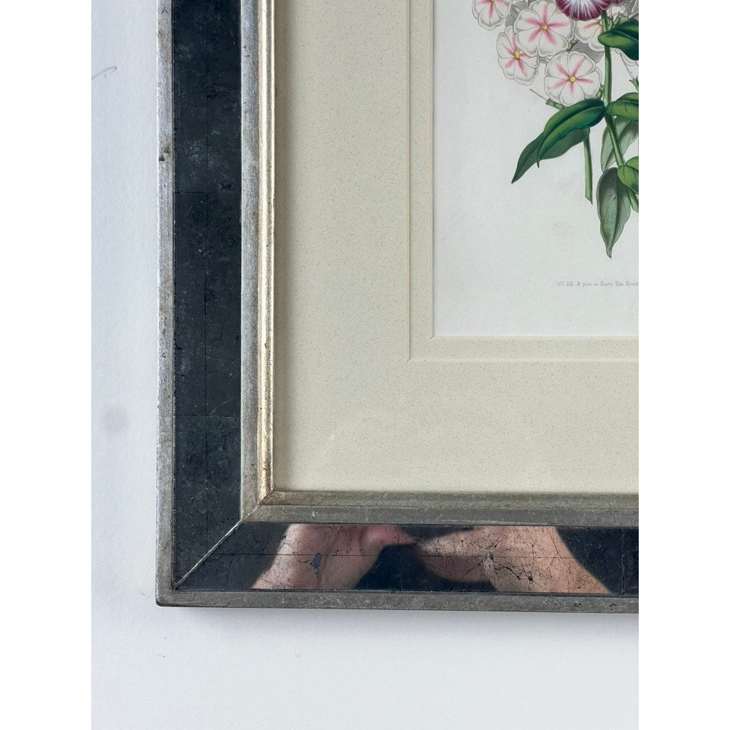 Close-up of a corner of a Vintage Trowbridge Custom Framed Botanical Print “Phlox” after Louis van Houtte. The Hollywood Regency-style frame features a metallic silver edge with a faint reflection of a face in the lower part.