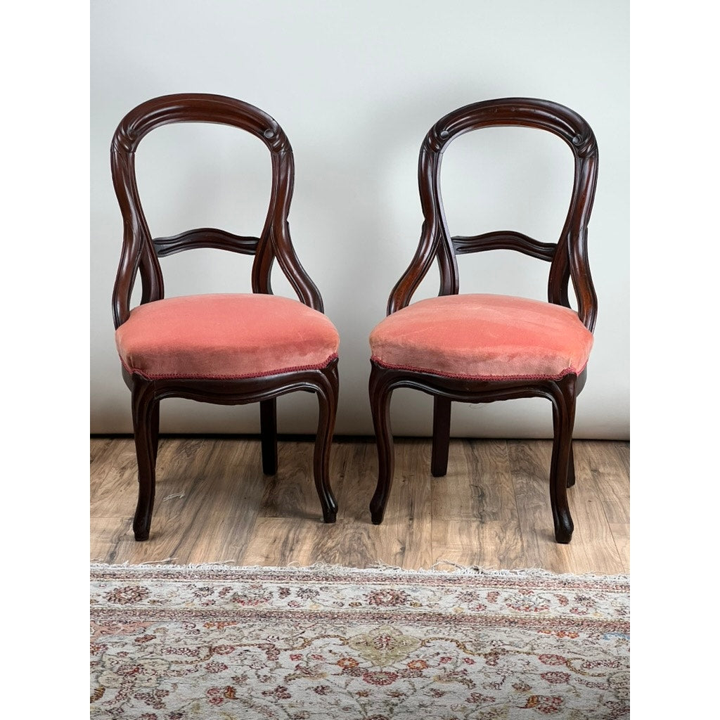 An Antique Pair of Victorian Walnut Balloon Back Side Chairs with curved legs and rose velvet upholstery are placed side by side on a wooden floor, with a patterned rug partially visible in front.