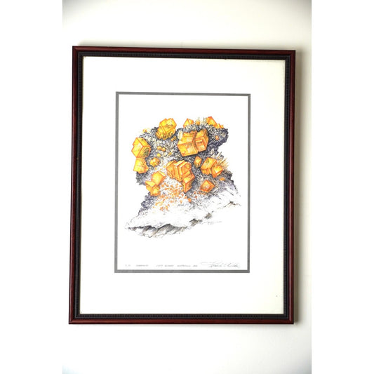 Limited Edition Print “Chabazite Lane Quarry Northfield MA.” by Fredrick C. Wilda (signed and numbered 3/30), offered by Pearl City Antiques, features a beautifully detailed illustration of vivid orange crystals on a gray rocky matrix set against a crisp white background. This artwork is inspired by Chabazite mineral specimens from Lane Quarry, Northfield, MA.
