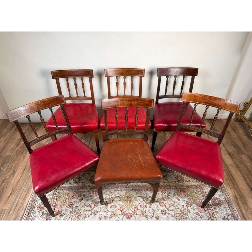 A set of six English George III mahogany neoclassical dining chairs—four from the 18th century—by Pearl City Antiques, featuring red and brown seat cushions, are arranged in a semicircle on a patterned rug atop a wood floor against a plain light-colored wall.