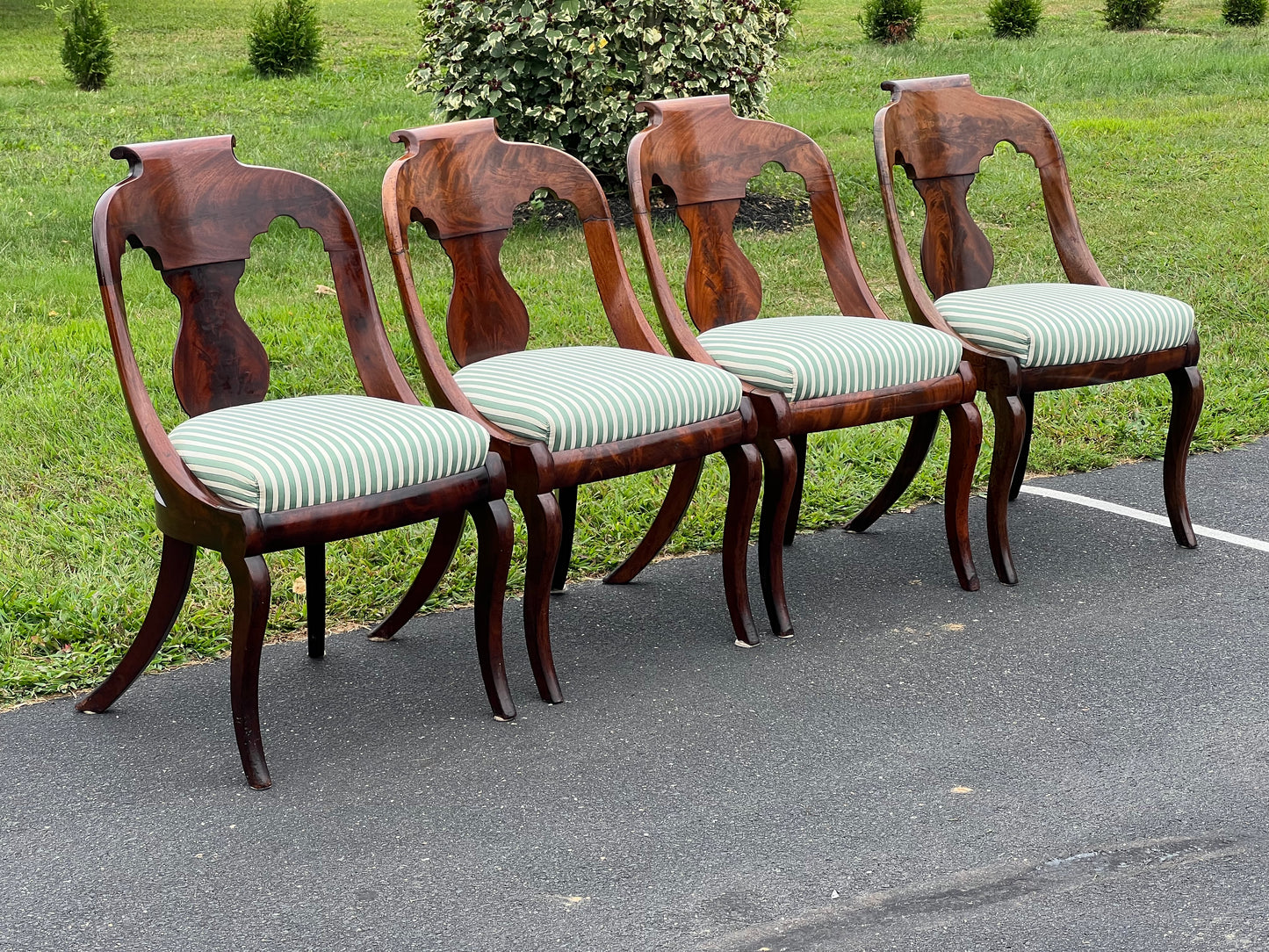 Antique Suite of Four Saber Leg Flame Mahogany Chairs c. 1830