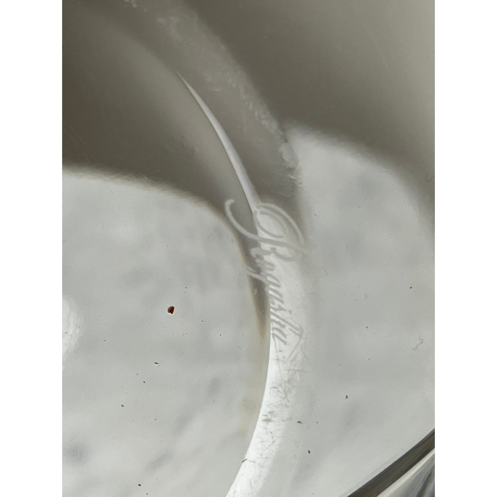 Close-up of a Rogaska Samba Wave 10" Lead Crystal Bowl with the word "Signature" etched on its clear surface; a few tiny dark specks and light scratches appear on the crystal.