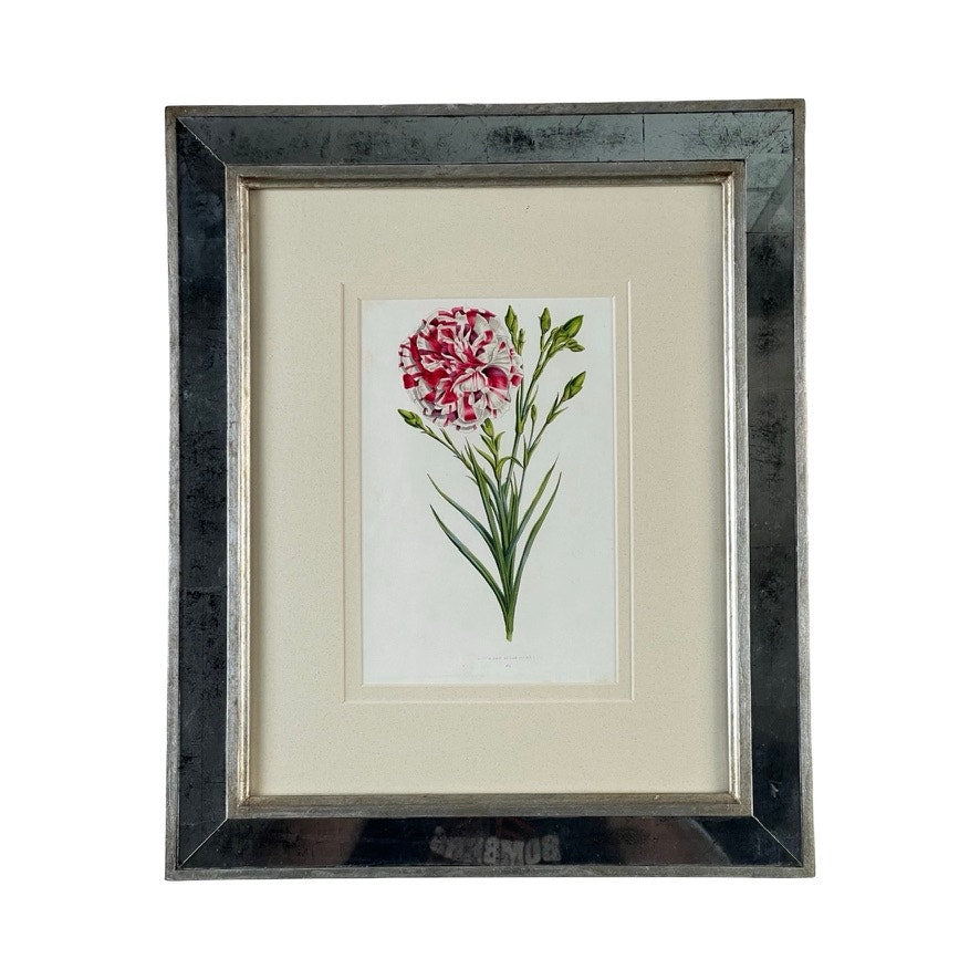 The Trowbridge Vintage Custom Framed Botanical Print “Dianthus caryophyllus” (after Louis Stroobant, Belgium 1845-1888) features a pink and white carnation with green leaves, set in a white mat and elegant Hollywood Regency-style frame.