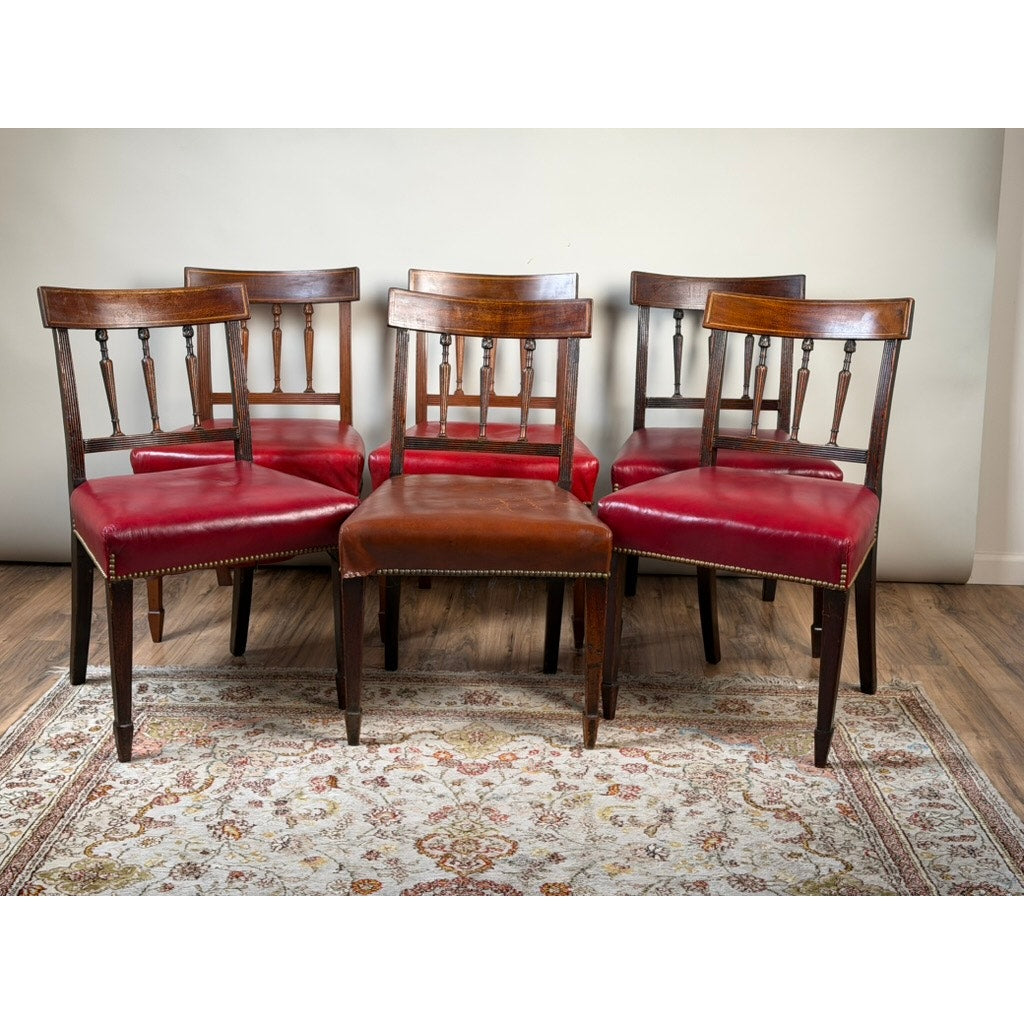 A set of six English George III mahogany neoclassical dining chairs—four from the 18th century—from Pearl City Antiques are arranged in two rows on a patterned rug, featuring red and brown leather seats, set against a plain light-colored wall and wooden floor.