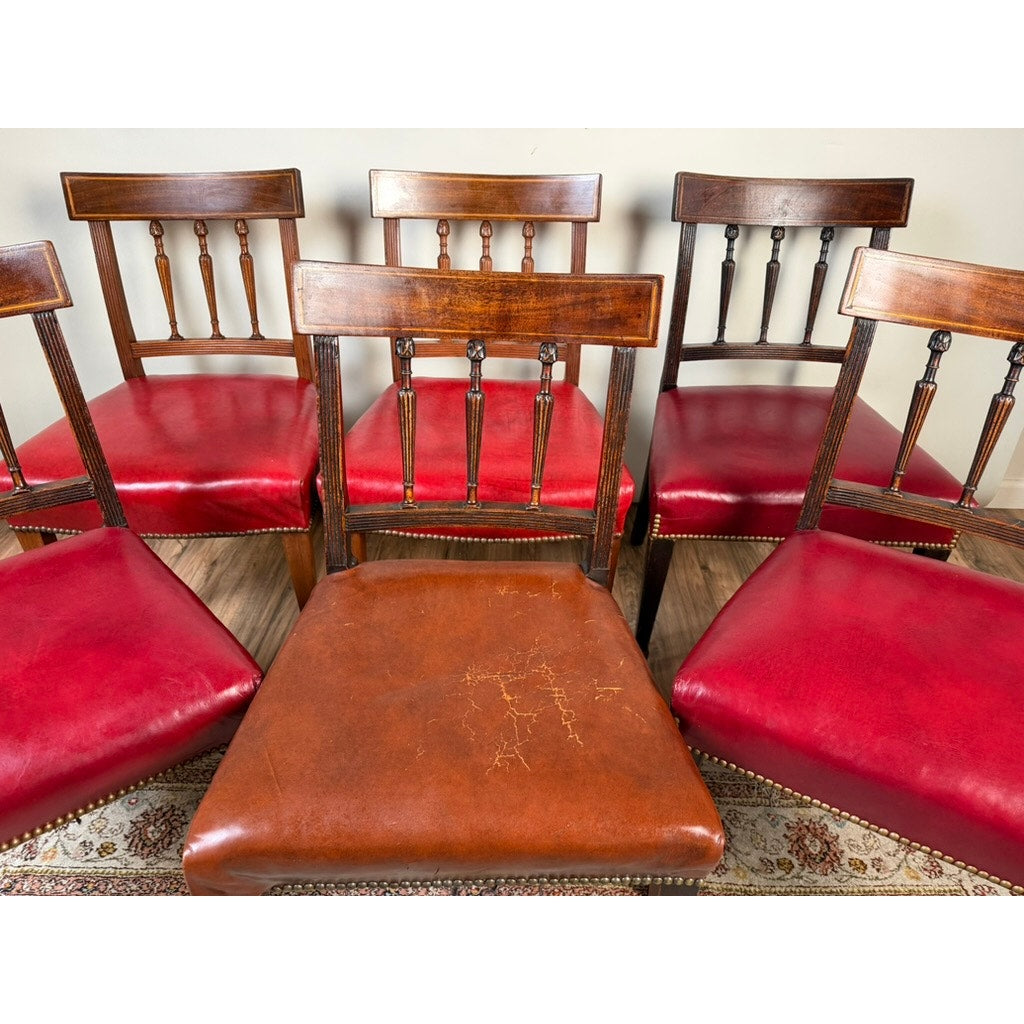 An assembled set of six English George III mahogany neoclassical dining chairs from Pearl City Antiques, four dating to the 18th century, are arranged in a semi-circle. Five of the chairs feature shiny red seats, while the center chair stands out with a brown, worn leather seat marked by visible cracks. The elegant mahogany chairs rest atop a rug adorned with a floral pattern.