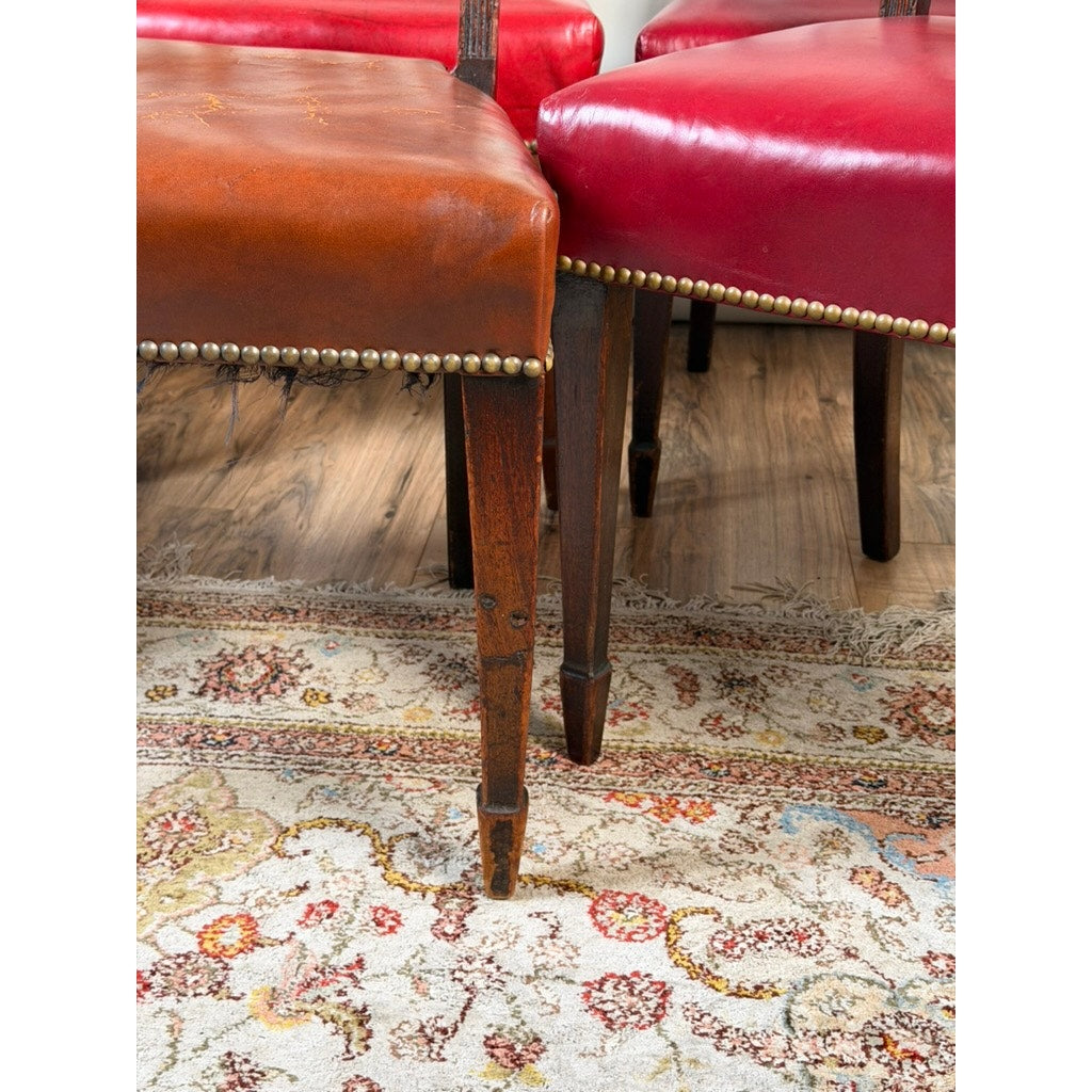 Close-up of two chairs from the Assembled Set of Six English George III Mahogany Neoclassical Dining Chairs by Pearl City Antiques—one featuring brown leather upholstery and the other in glossy red—both with wooden legs and nailhead trim, positioned on a patterned floral rug.