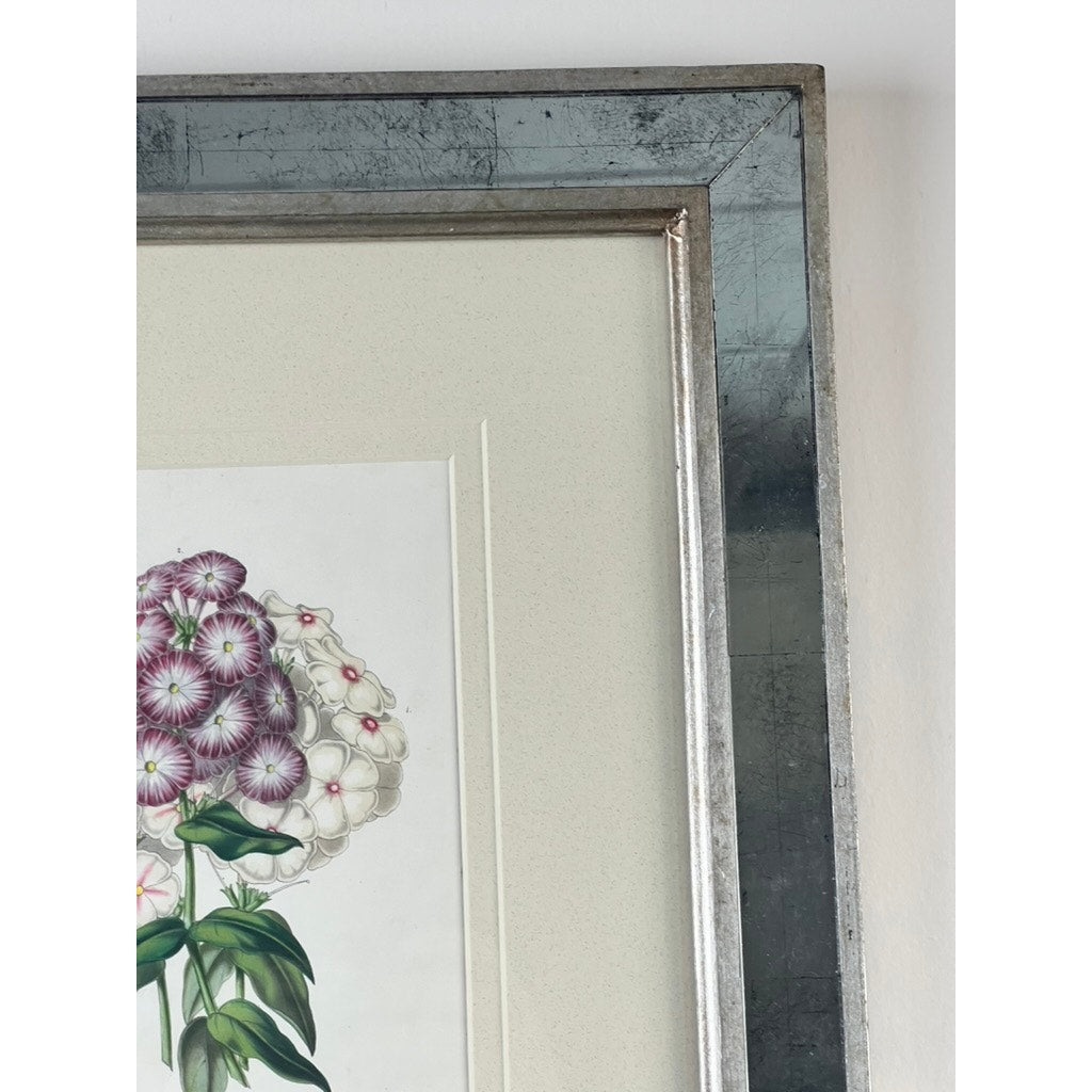 Close-up of the top right corner of the Trowbridge Vintage Custom Framed Botanical Print “Phlox” after Louis van Houtte, featuring purple and white flowers in a metallic silver Hollywood Regency frame against a white wall.